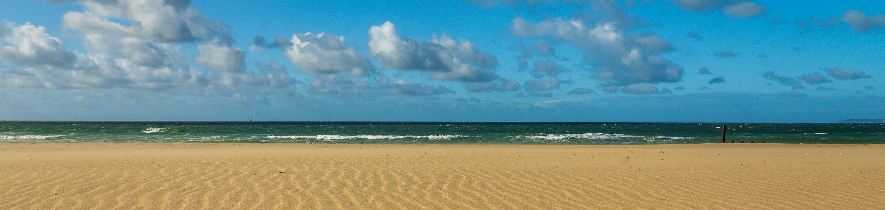 Beach scene image